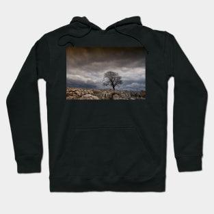 Lone Tree Hoodie